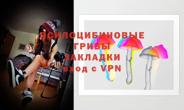 ПСИЛОЦИБИНОВЫЕ ГРИБЫ Белокуриха