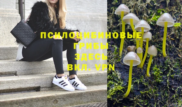 ПСИЛОЦИБИНОВЫЕ ГРИБЫ Белокуриха