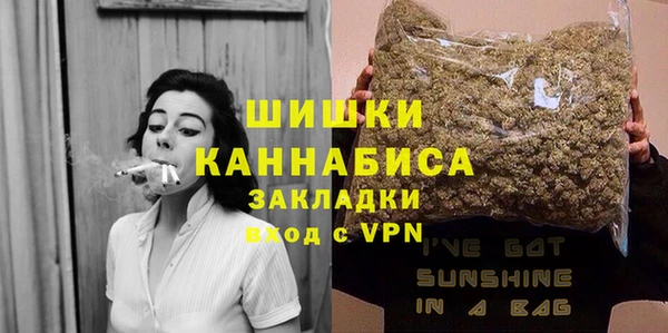 ПСИЛОЦИБИНОВЫЕ ГРИБЫ Белокуриха