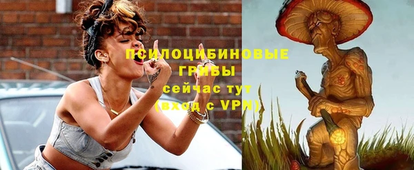 прущие крисы Беломорск