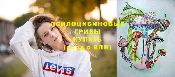 ПСИЛОЦИБИНОВЫЕ ГРИБЫ Белокуриха
